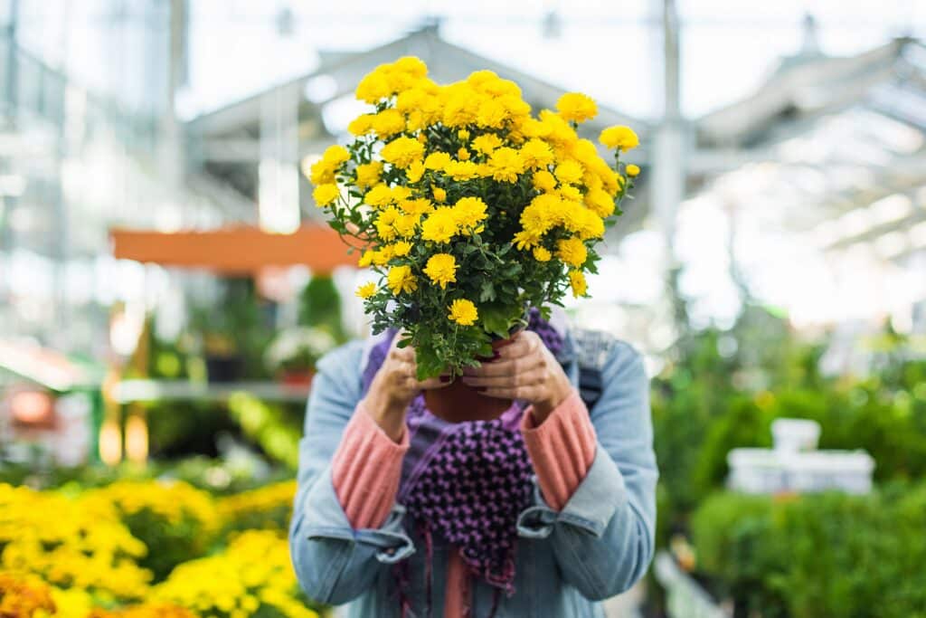a woman holding a bunch of perennial flowers - Embracing the 'Evergreen Content' Strategy: How Timeless Articles Boost Traffic Year-Round - Embracing an evergreen content strategy can help small business owners break out of the exhausting trend-chasing content cycle. Learn how to create high-value articles with longevity. - your wp guy